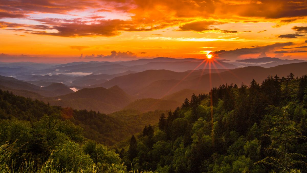 Insider’s Guide 7 North Carolina Fall Trips You Might Have Overlooked